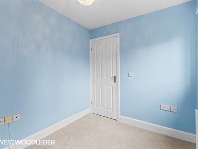 Picture 24